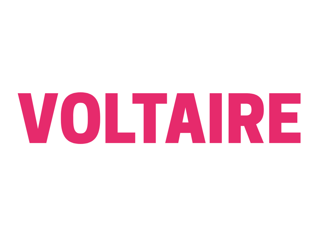 VOLTAIRE Online Marketing